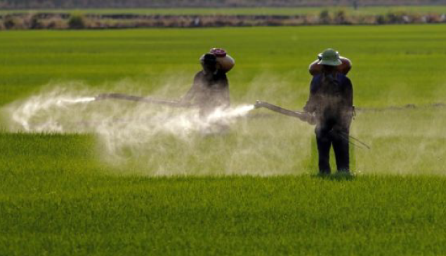 Câncer: estudo confirma relação com agrotóxico mais usado