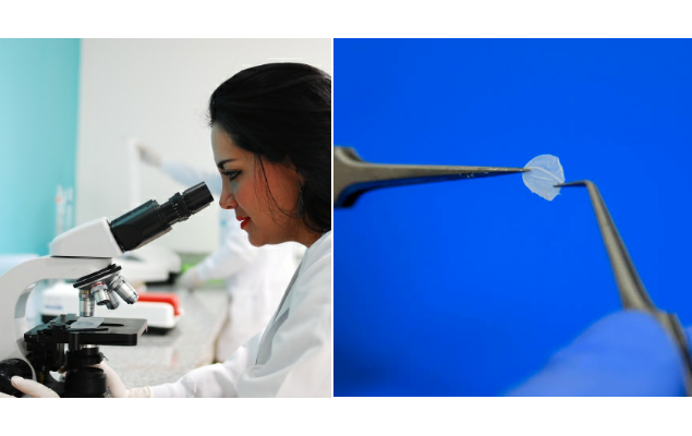 UFRJ é sede de laboratório que produz pele humana para substituir testes em animais