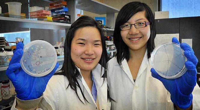 Estudantes cria bactéria que come plástico