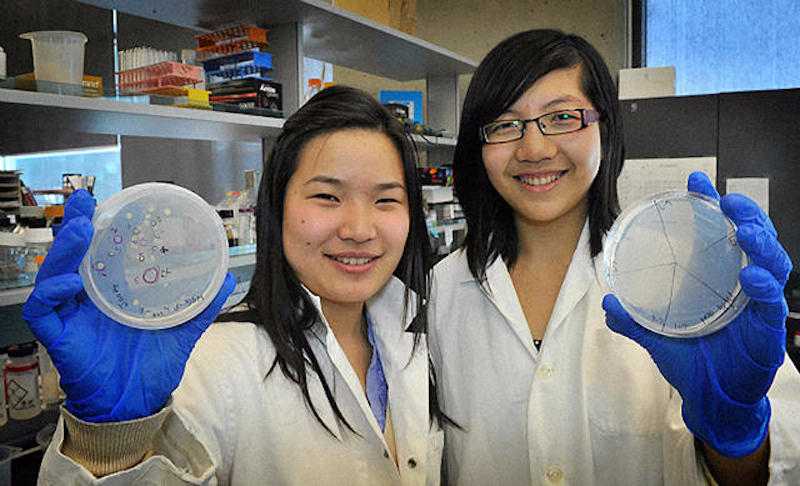 Estudantes cria bactéria que come plástico