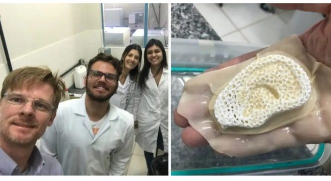 Cientistas do Paraná criam membrana que desenvolve ossos, pele e cartilagem