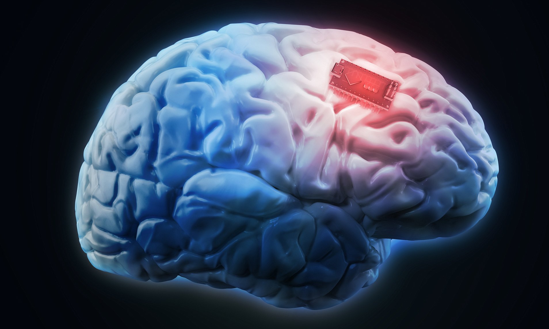 Empresário quer colocar chip em cérebro de humanos