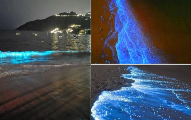 Quarentena: sem poluição, praia de Acapulco volta a brilhar após 60 anos