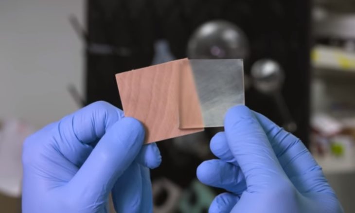 Cientista inventou madeira transparente como o vidro e 50 vezes mais resistente